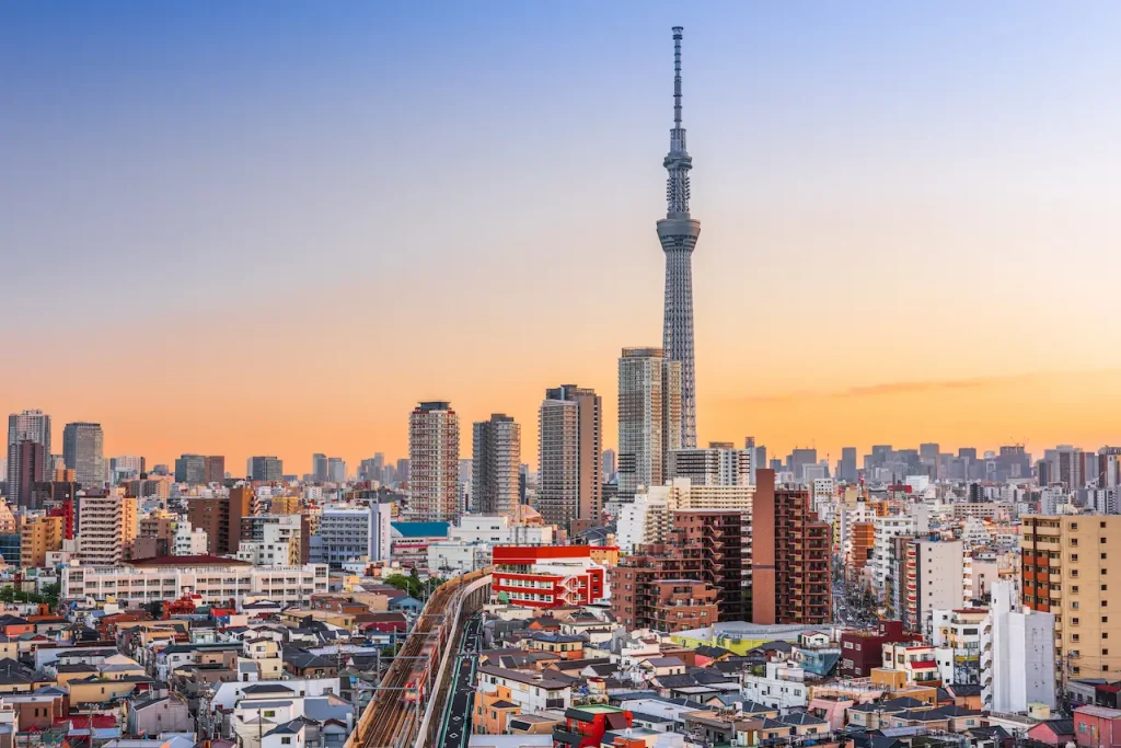 academic conference in Tokyo